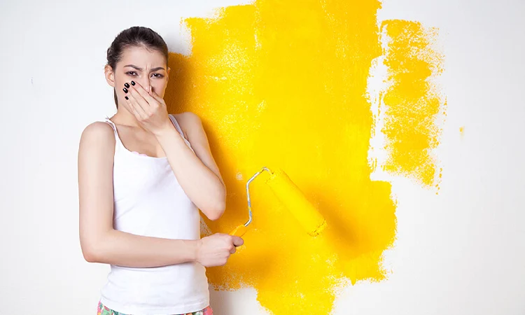 toxic fumes of exterior paints make them not suitable for indoor usage