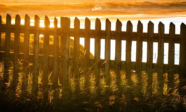 how to dry wet wooden fence