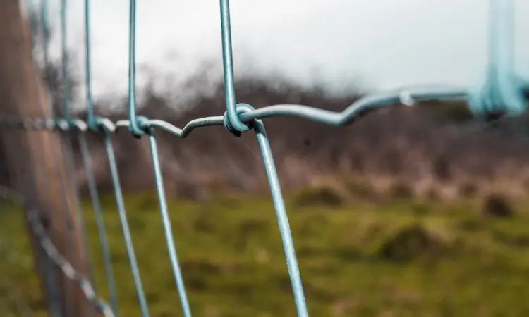 can you paint chain link fence