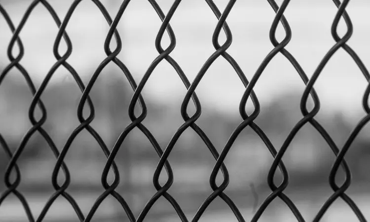 how much will painting chain link fence cost